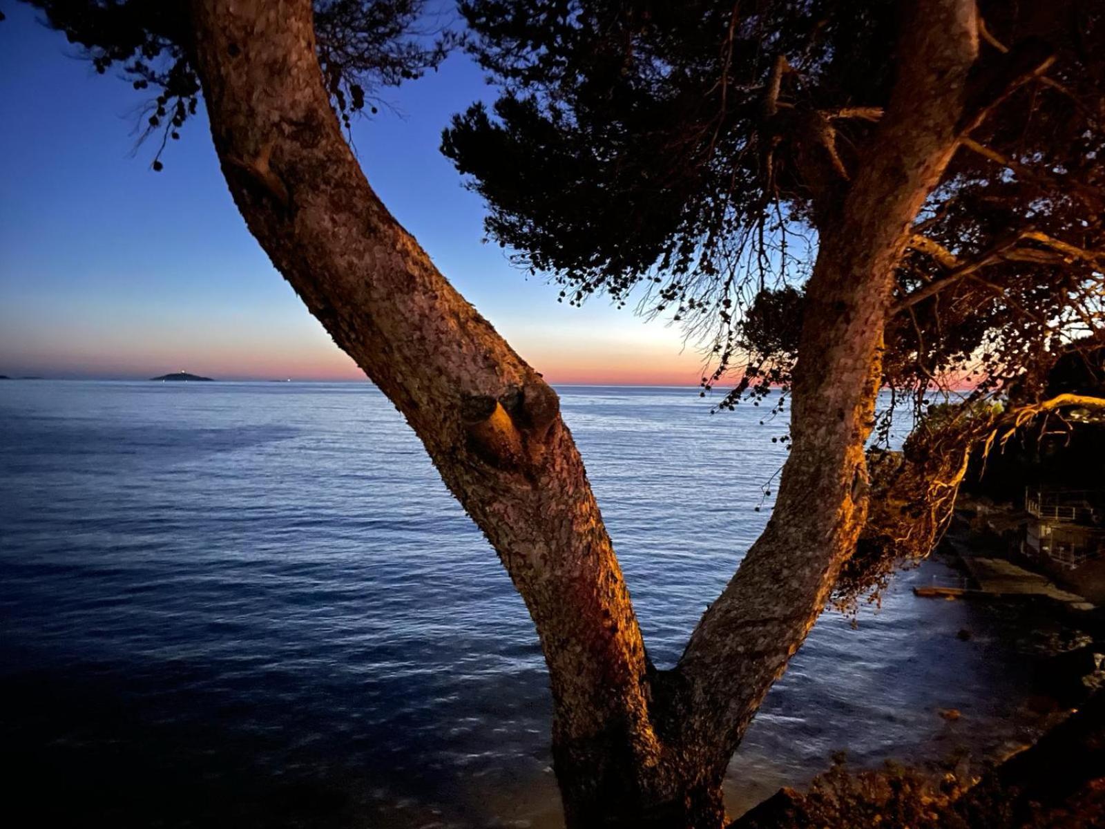 Vacances Bord De Mer - Appartement Sanary Sur Mer Bagian luar foto